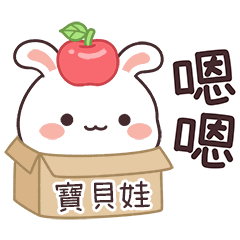 嬌嬌兔姓名貼_寶貝娃專用