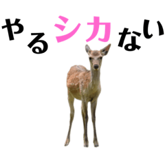 【実写】鹿のスタンプ