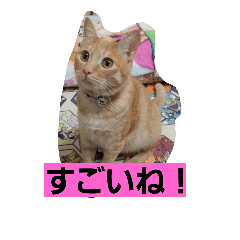 Soliloquy of Kyuta.three