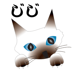 シャム猫jijiのスタンプ J1 Line スタンプ Line Store シャム猫jijiのスタンプ J1 Line スタンプ Line Store