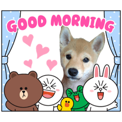 Kevidel_20210715001735