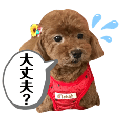 cocoa_20210715005246