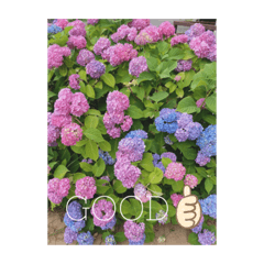 flower simple stamp 1