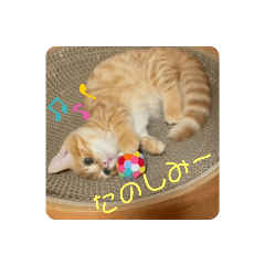 rei_20210715103414