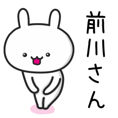 Rabbit For MAEKAWA