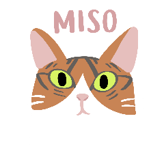 Princess Miso