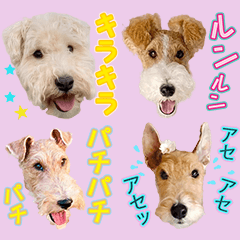 Happy terrier friends' Onomatopoeia