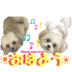 K.Task_20210715122613