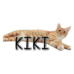 Lovely Cat Kiki