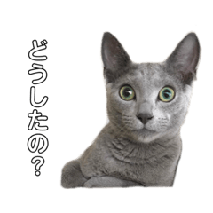 hikari_20210715133607