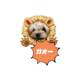 yuka_20210715205726