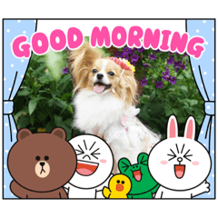 yukari_20210715211952