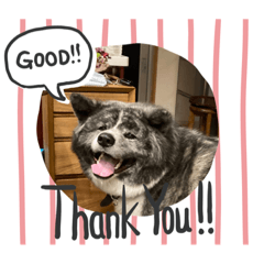 akiko_20210715222515