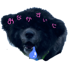 Ponzu_20210716085329