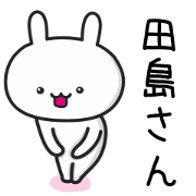 Rabbit For TAJIMA