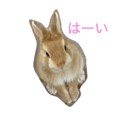 Alice_20210715201708