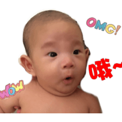 Harvey-日常篇