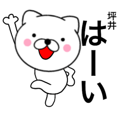 Name cat Tsuboi