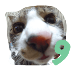 ayumi_20210715220746