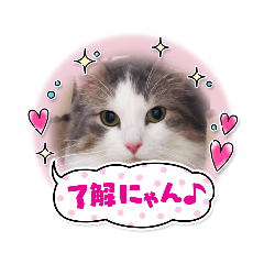 sayumi_20210715181846
