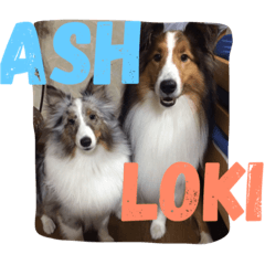 LOKI & ASH