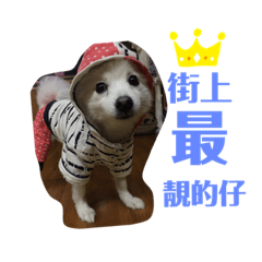 小仙女的生活日記