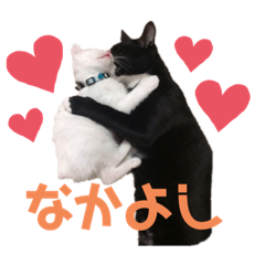 kuu_20210716005520