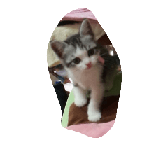 CATmemoko