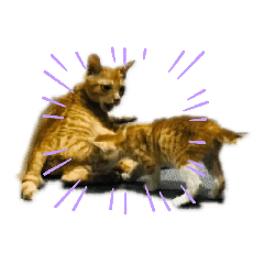 雞糕白襪兒時表情包