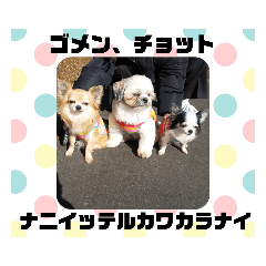 saya_20210716030526