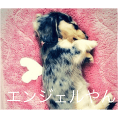 uchiwan