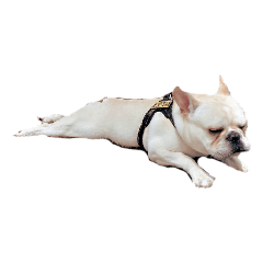 Nanami_20210716081743