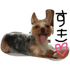 pecochandayo