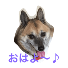 kei mix