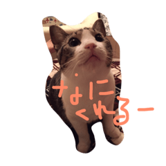 nana sennin