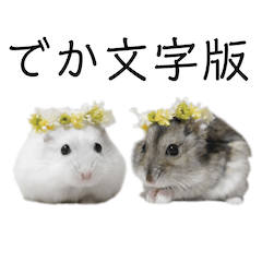 [BIG FONT] hamster oto and uta sticker