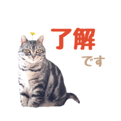 MIKI_20210716174620