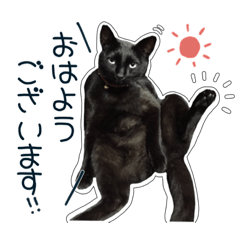 黒猫好きの為の敬語スタンプ