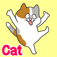 A fluffy calico cat English ver.