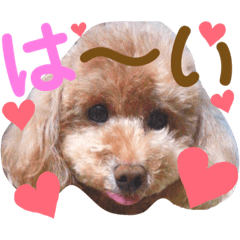 cocoa_20210703174447