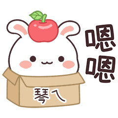 嬌嬌兔姓名貼_琴ㄟ專用