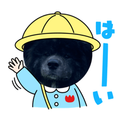 Ponzu_20210716190213