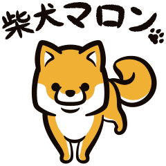 動く 柴犬マロン Line スタンプ Line Store