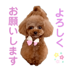 ayumi_20210716235604