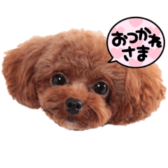 ayumi_20210716235239