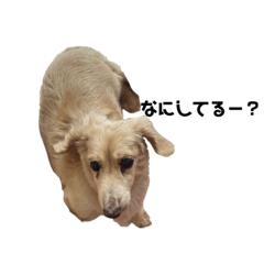 ARISA_20210717000821