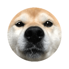 yamada_20210717002803