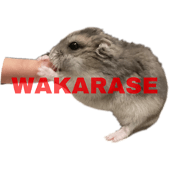 Marina Ascher_20210716194613