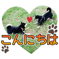 黒柴犬の♡カップル♡スタンプ07 黒柴 柴犬