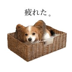 arisa_20210716194729